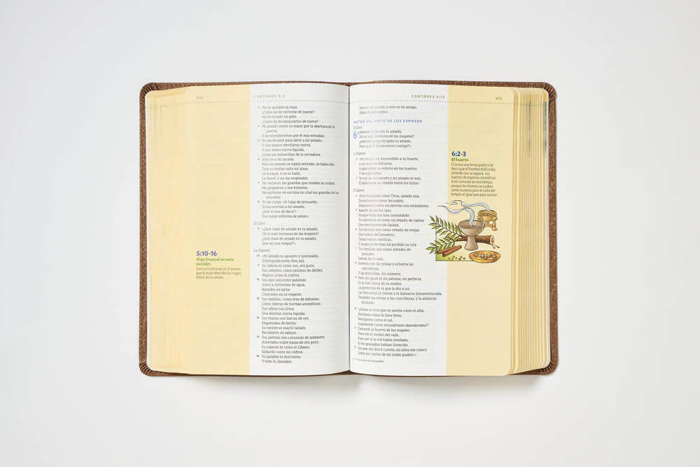 NBLA, Biblia visual de estudio para niños: Explora la Biblia: personajes, lugares e historia - Image 23