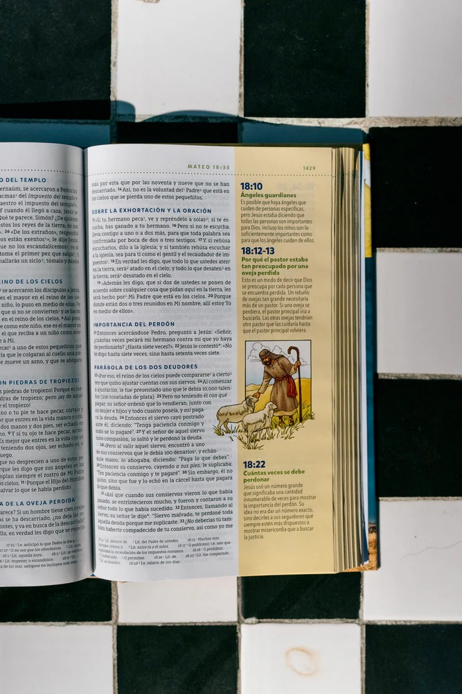 NBLA, Biblia visual de estudio para niños: Explora la Biblia: personajes, lugares e historia - Image 29