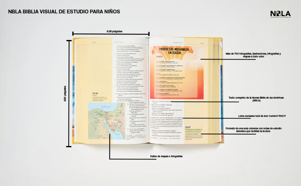 NBLA, Biblia visual de estudio para niños: Explora la Biblia: personajes, lugares e historia - Image 30