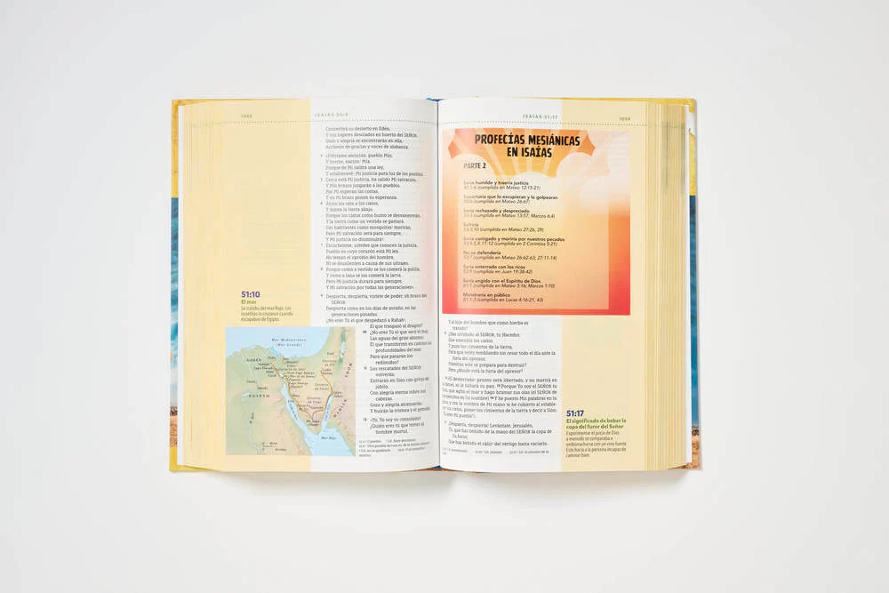 NBLA, Biblia visual de estudio para niños: Explora la Biblia: personajes, lugares e historia - Image 31