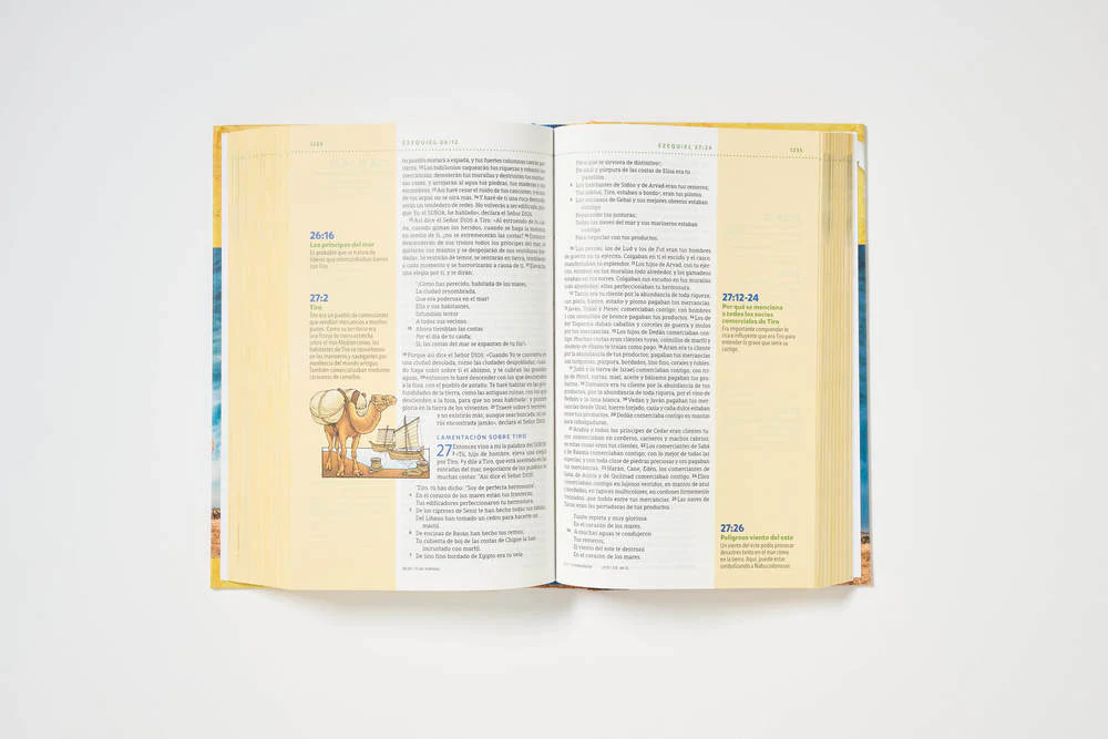 NBLA, Biblia visual de estudio para niños: Explora la Biblia: personajes, lugares e historia - Image 32