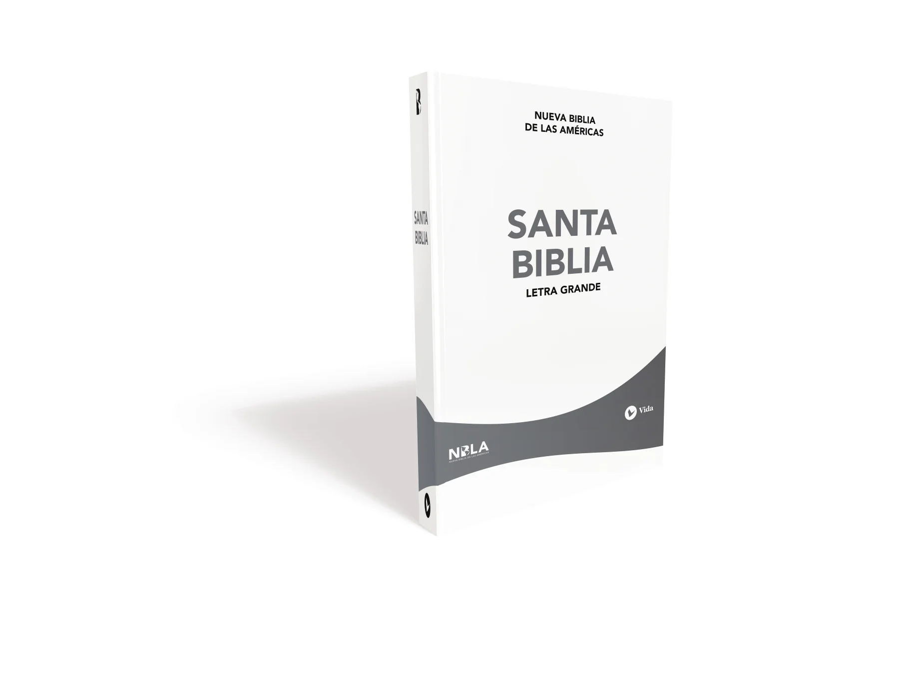 NBLA Santa Biblia, Edición Económica, Letra Grande, Tapa Rústica - Paquete de 24 / NBLA Holy Bible, Outreach Edition, Large Print, Paperback - 24 Pack - Image 2