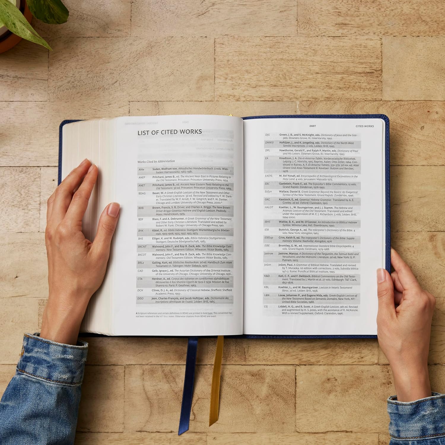 NET Bible, Full Notes Edition (NET, Comfort Print): Holy Bible - Image 30