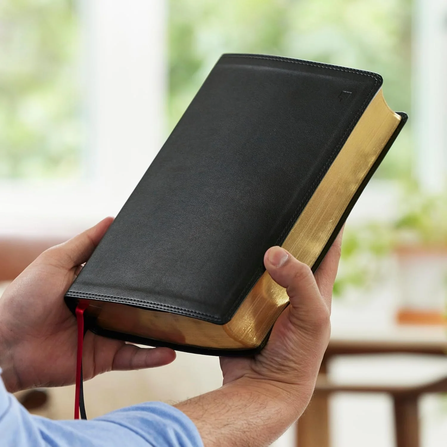 NET Bible, Full Notes Edition (NET, Comfort Print): Holy Bible - Image 40