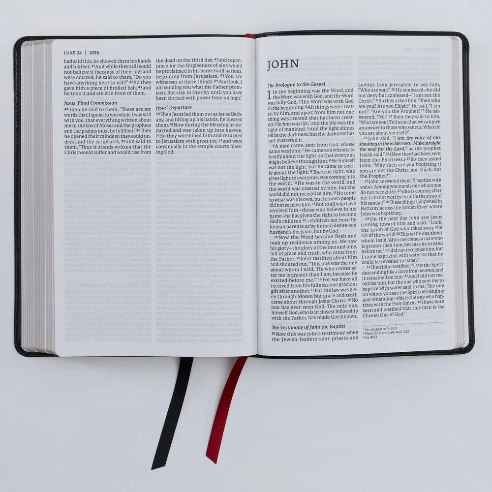 NET Bible, Thinline Large Print, Comfort Print: Holy Bible - Image 36