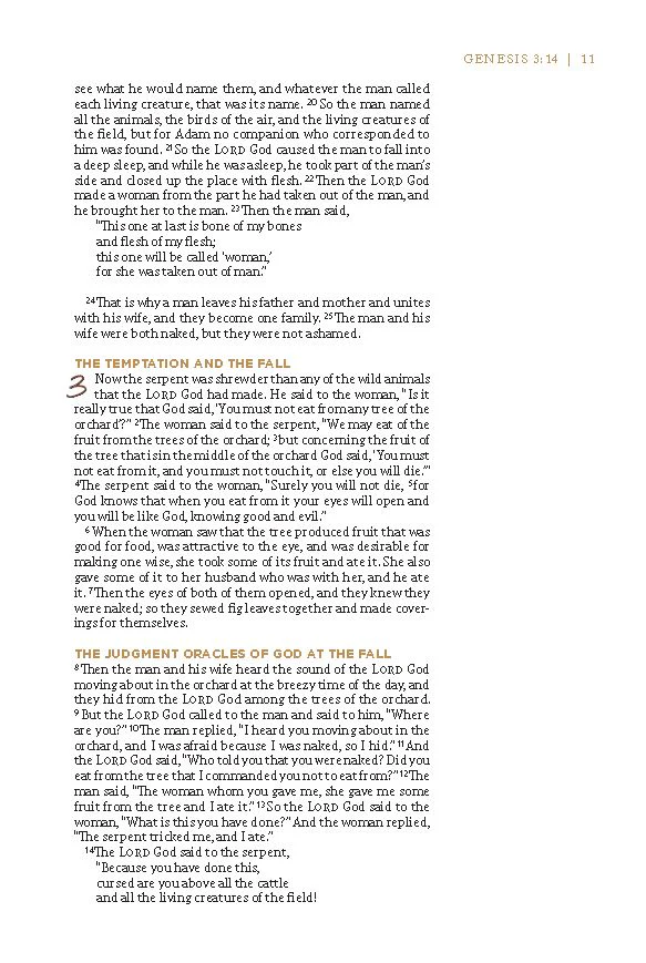 NET, Love God Greatly Bible, Comfort Print - Image 41