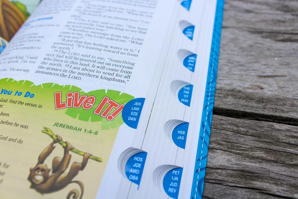NIrV, Adventure Bible for Early Readers, Full Color Interior - Image 48
