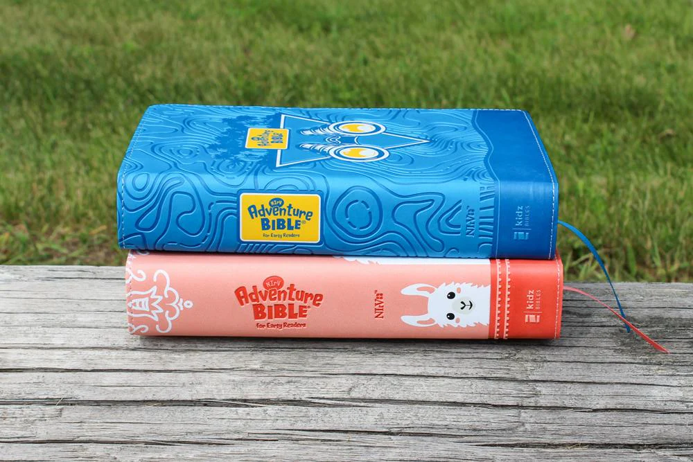 NIrV, Adventure Bible for Early Readers, Full Color Interior - Image 68
