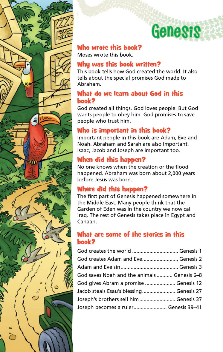 NIrV, Adventure Bible for Early Readers, Hardcover, Full Color, Case of 12 - Image 13