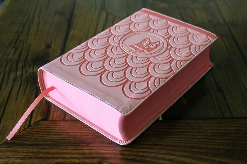 NIrV, Giant Print Compact Bible for Boys & Girls, Comfort Print - Image 2