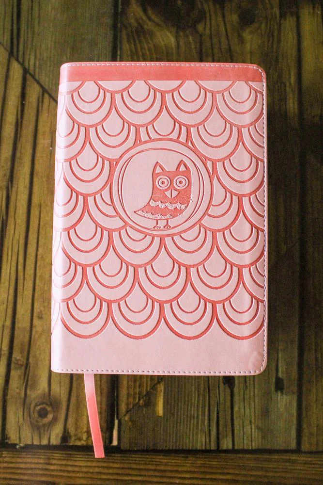 NIrV, Giant Print Compact Bible for Boys & Girls, Comfort Print - Image 3