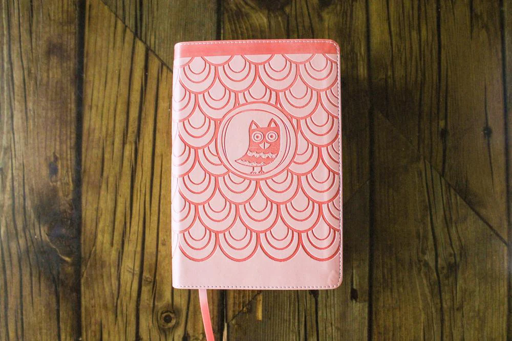NIrV, Giant Print Compact Bible for Boys & Girls, Comfort Print - Image 4