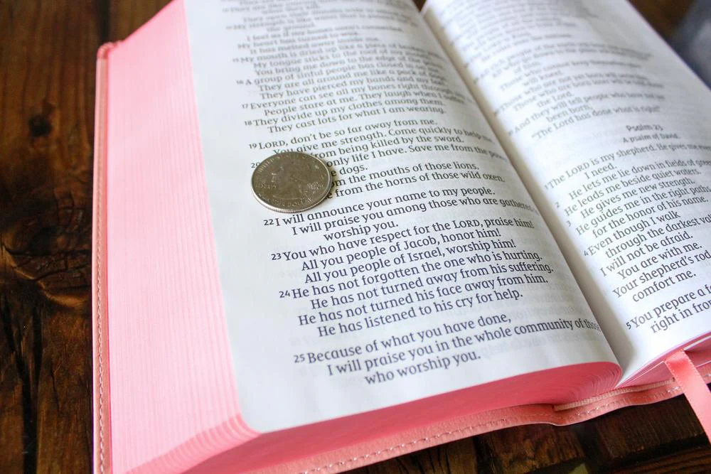 NIrV, Giant Print Compact Bible for Boys & Girls, Comfort Print - Image 9