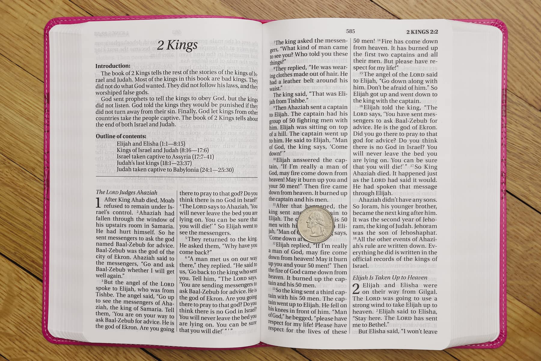 NIrV, Holy Bible, Large Print, Leathersoft - Image 12