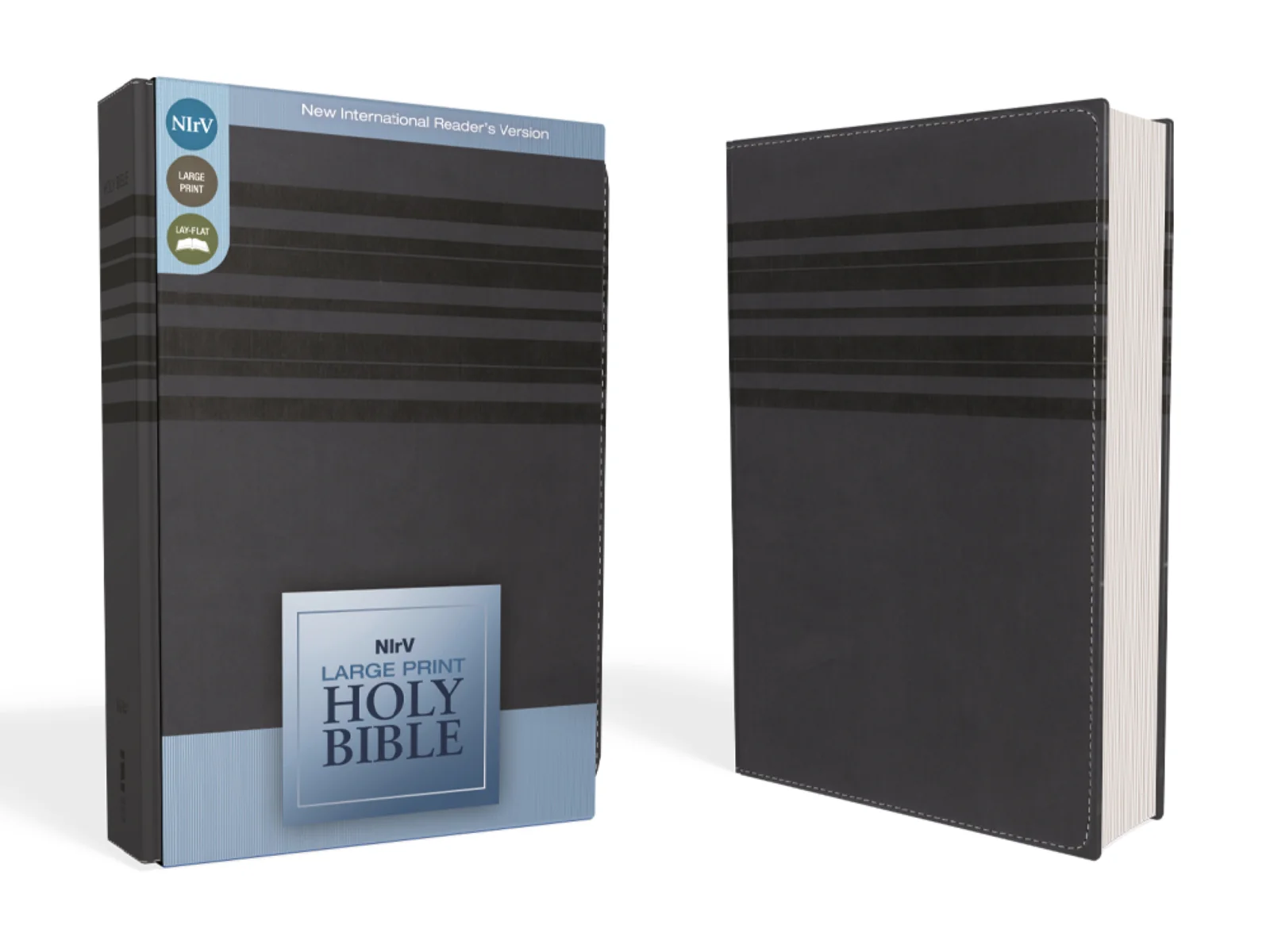 NIrV, Holy Bible, Large Print, Leathersoft - Image 17