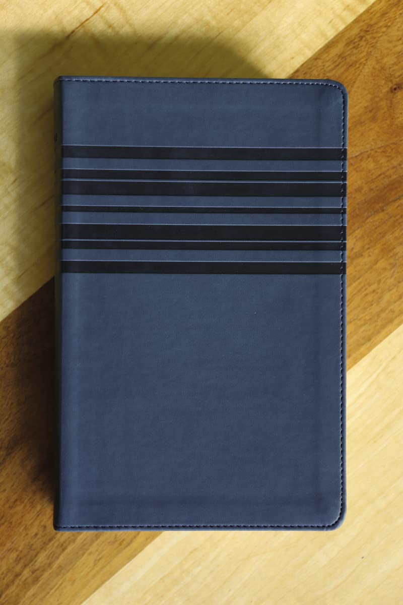 NIrV, Holy Bible, Large Print, Leathersoft - Image 4