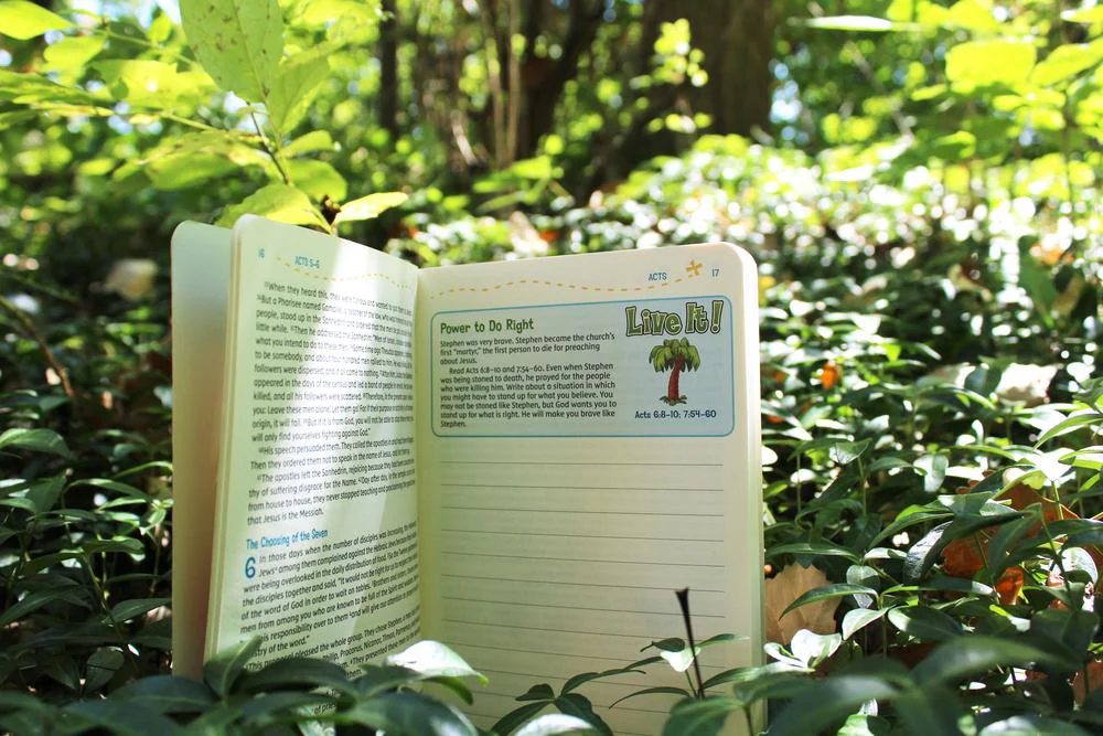 NIV, Adventure Bible Field Notes, Acts, Paperback, Comfort Print: My First Bible Journal - Image 12