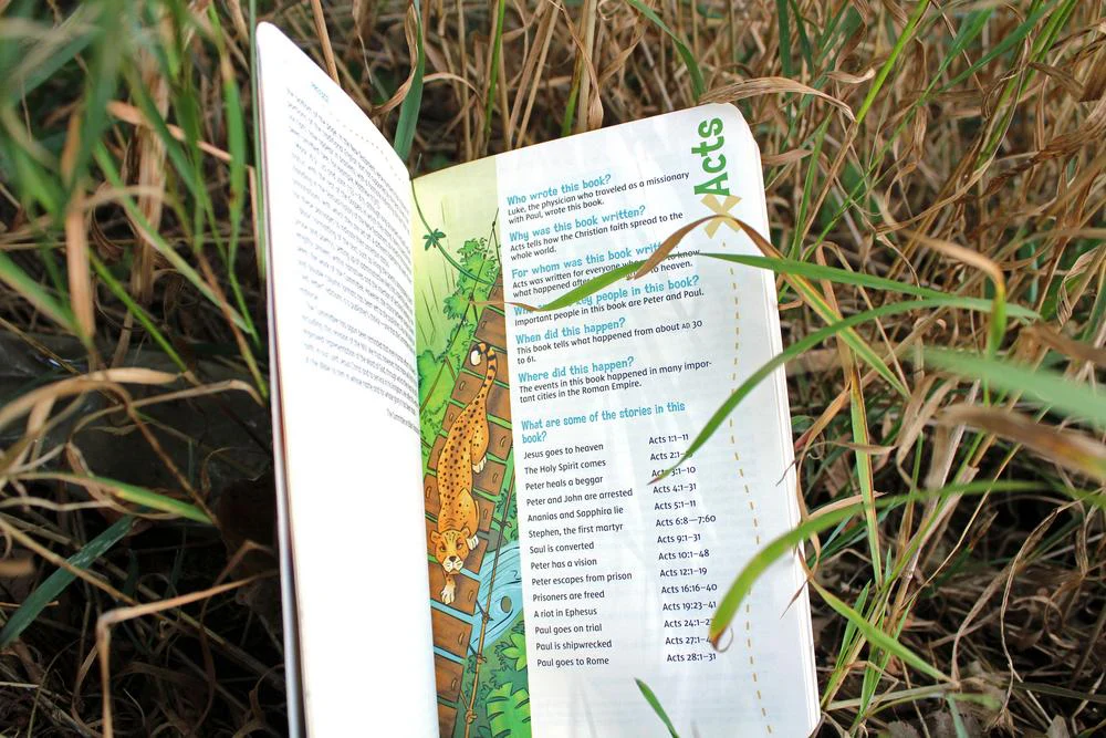 NIV, Adventure Bible Field Notes, Acts, Paperback, Comfort Print: My First Bible Journal - Image 8