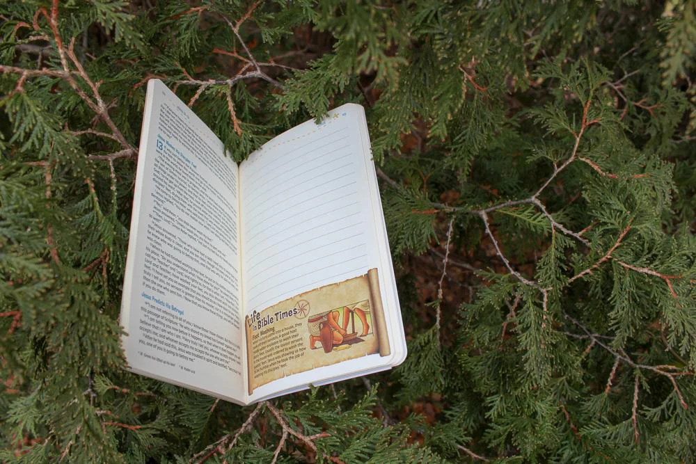 NIV, Adventure Bible Field Notes, John, Paperback, Comfort Print: My First Bible Journal - Image 11