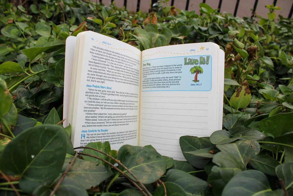 NIV, Adventure Bible Field Notes, John, Paperback, Comfort Print: My First Bible Journal - Image 12