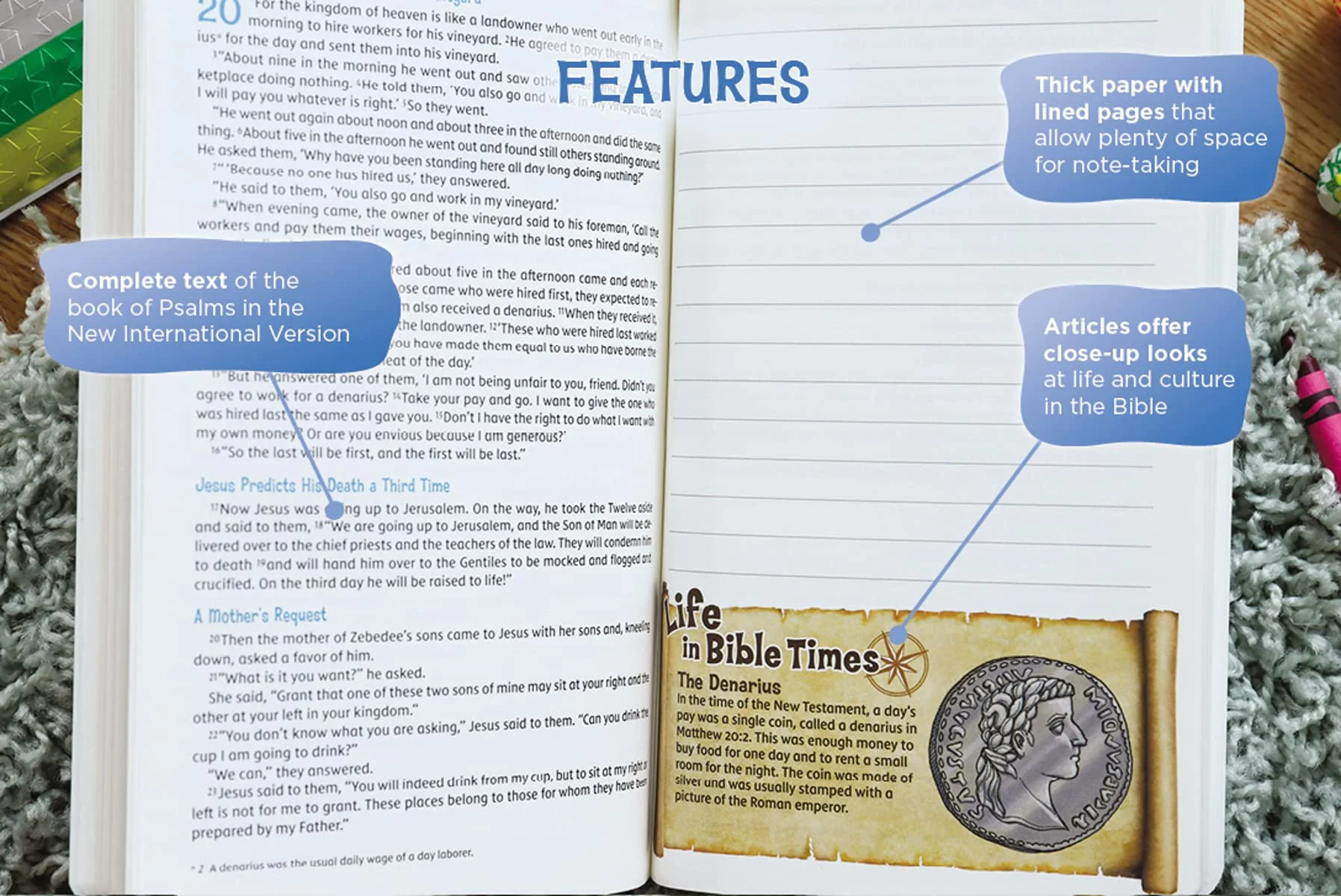 NIV, Adventure Bible Field Notes, Matthew, Paperback, Comfort Print: My First Bible Journal - Image 7