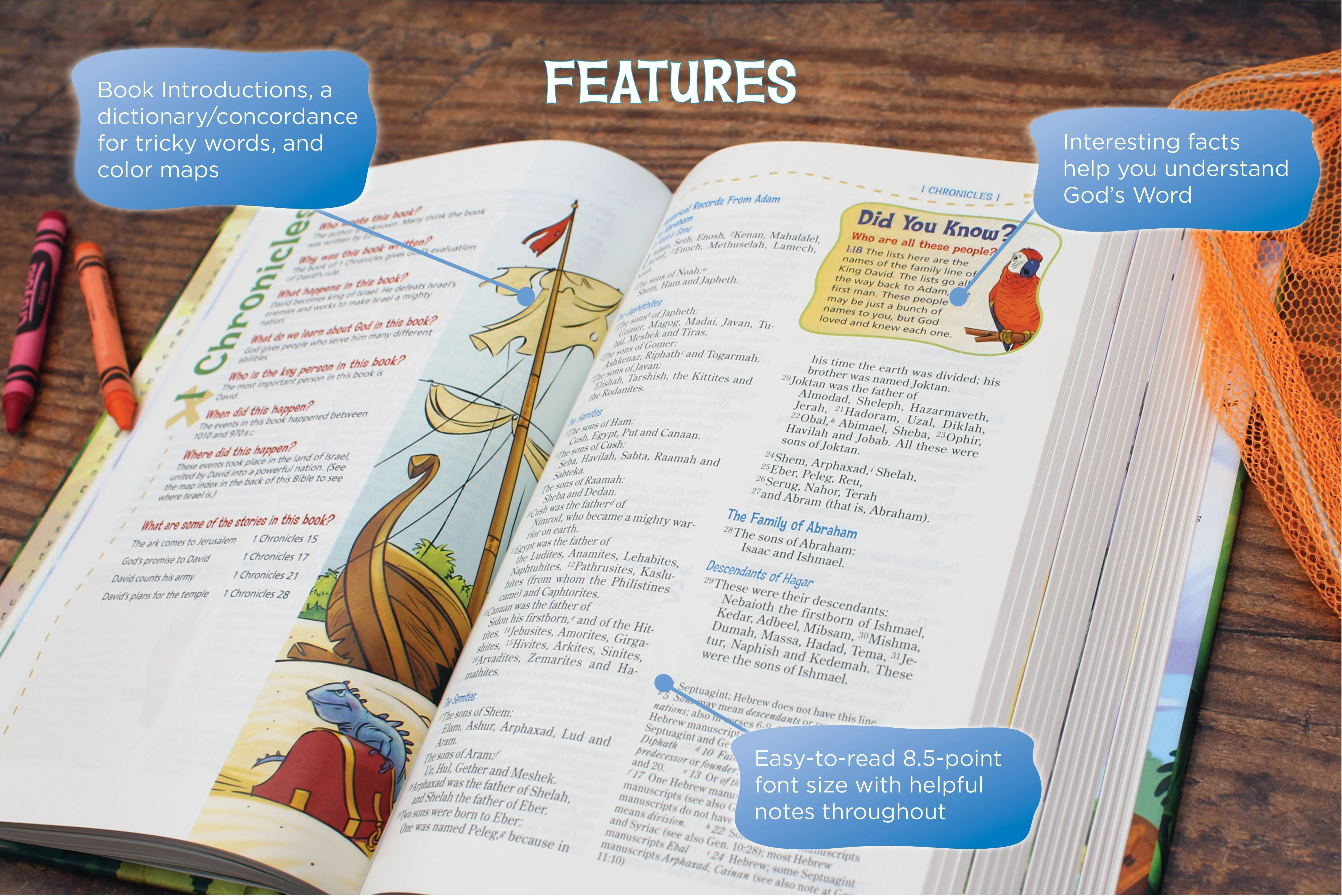 NIV, Adventure Bible, Full Color Interior - Image 114