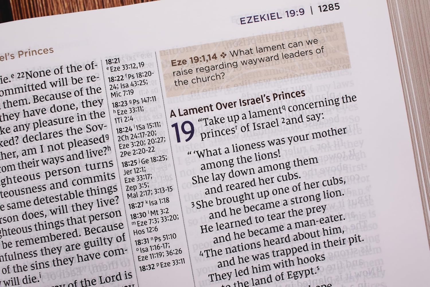 NIV Application Bible, Large Print, Red Letter, Comfort Print: Bringing the Ancient Message of the Bible into Your World - Image 11