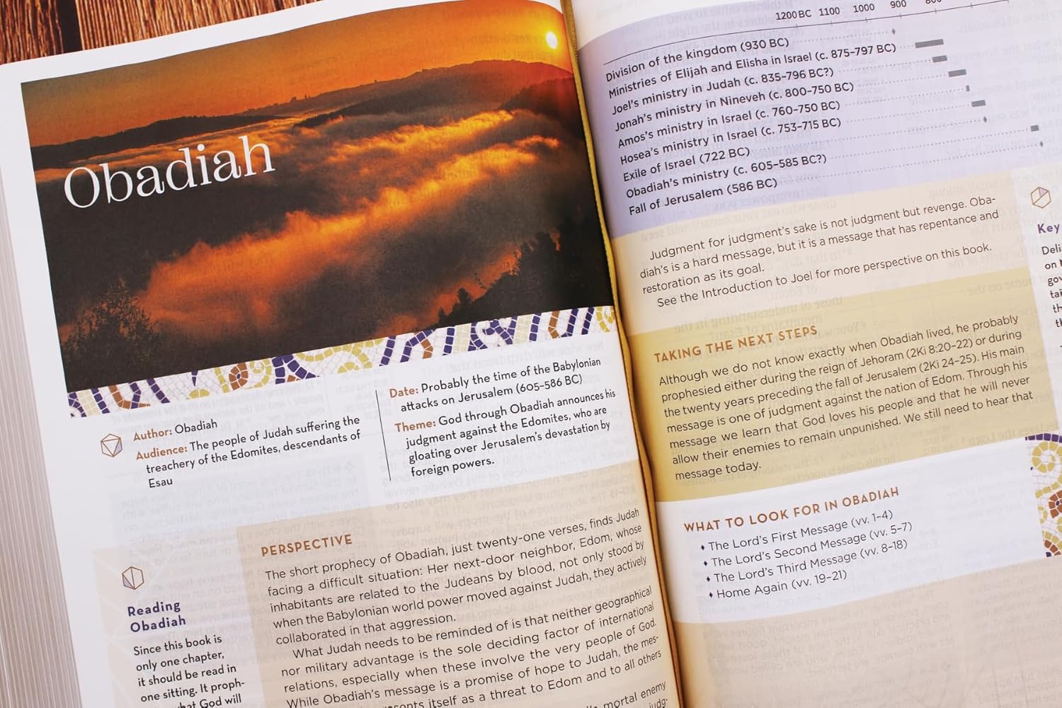 NIV Application Bible, Large Print, Red Letter, Comfort Print: Bringing the Ancient Message of the Bible into Your World - Image 8