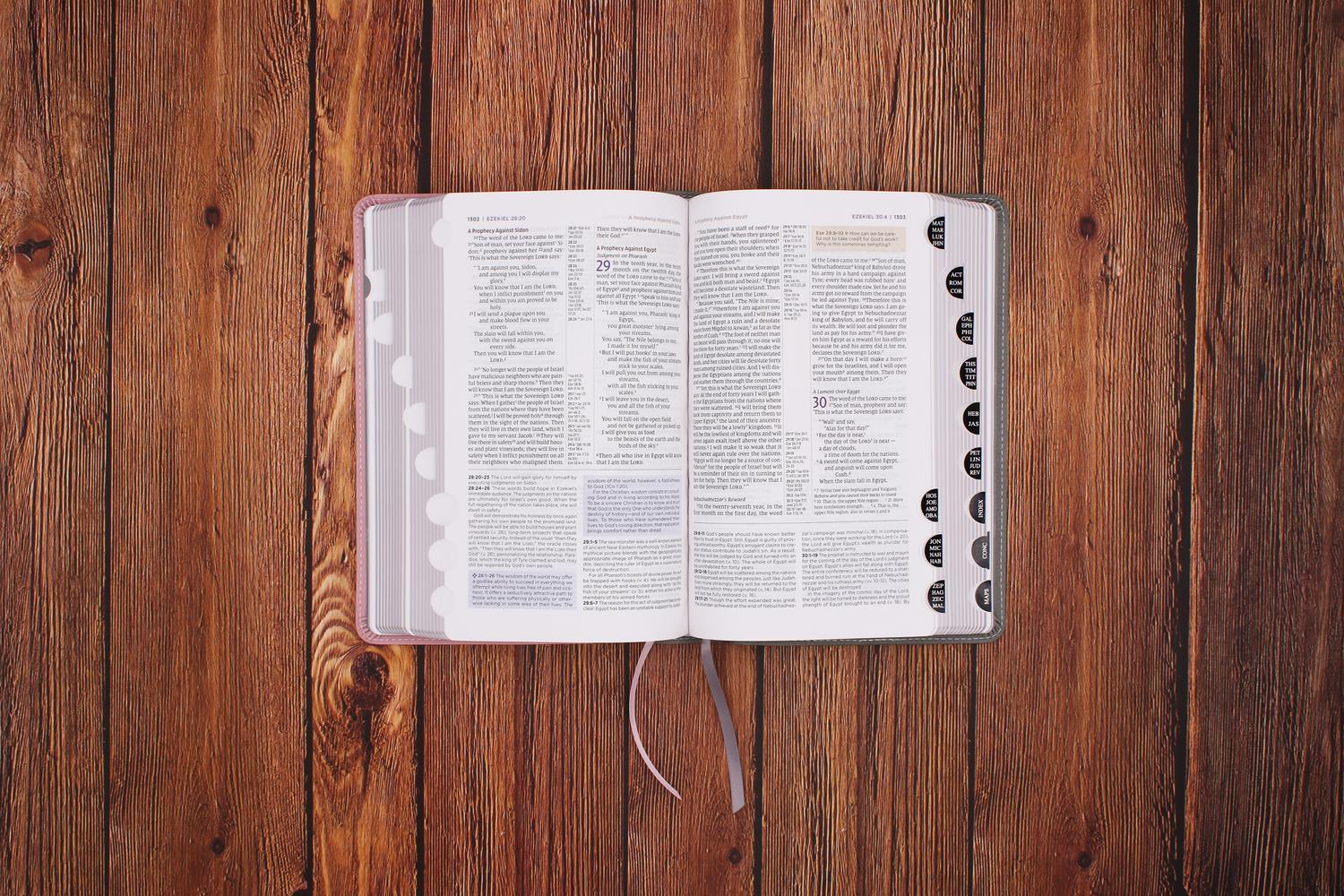 NIV Application Bible, Personal Size, Red Letter, Comfort Print: Bringing the Ancient Message of the Bible into Your World - Image 31