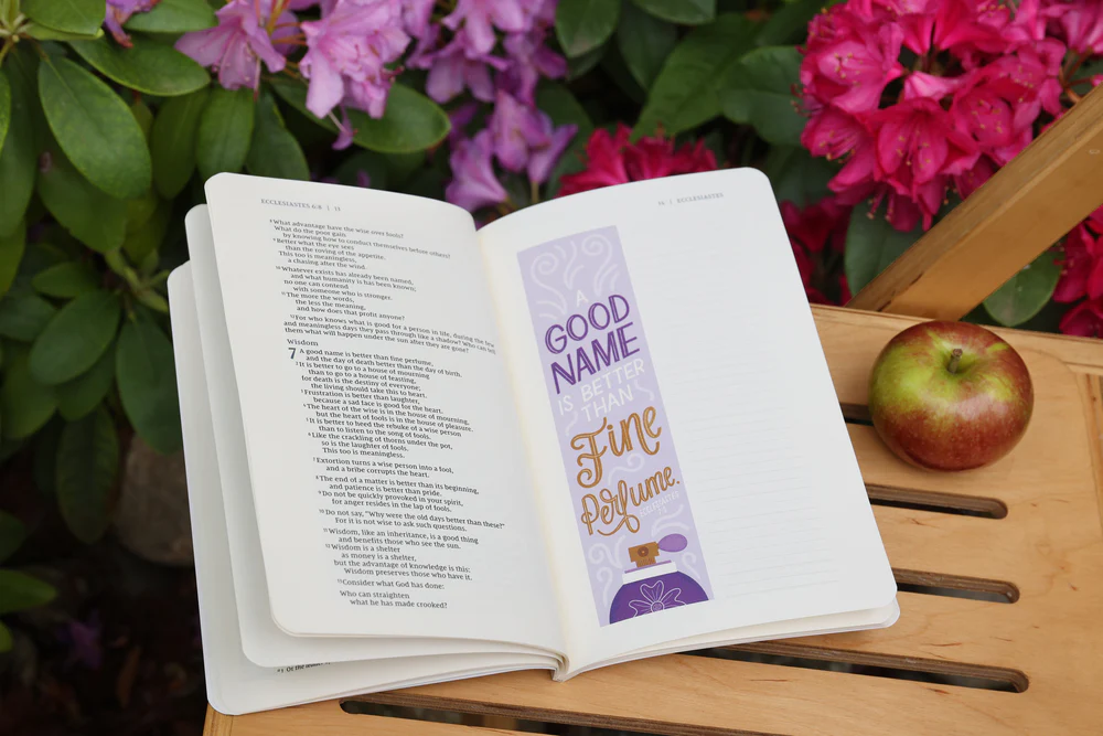 NIV, Beautiful Word Bible Journal, Ecclesiastes, Paperback, Comfort Print - Image 6