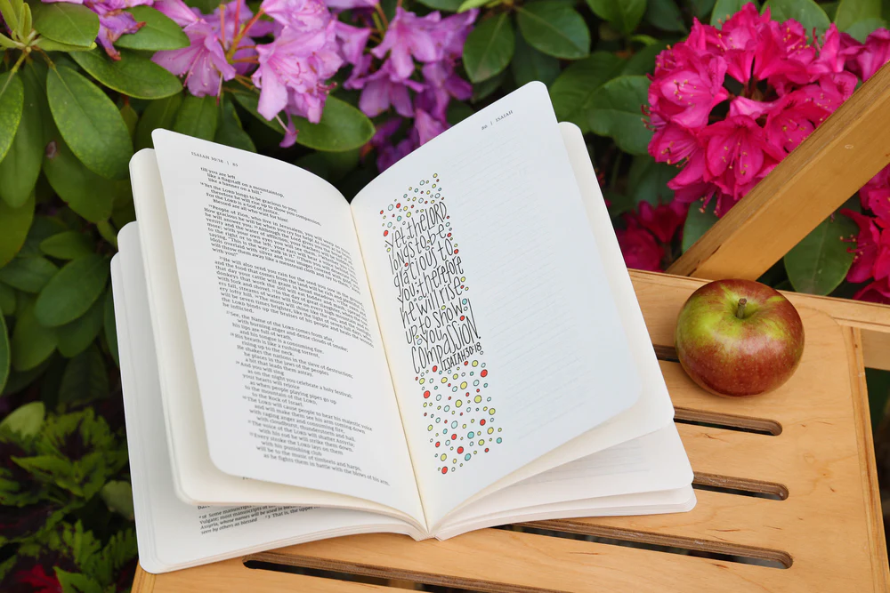 NIV, Beautiful Word Bible Journal, James, Paperback, Comfort Print - Image 7