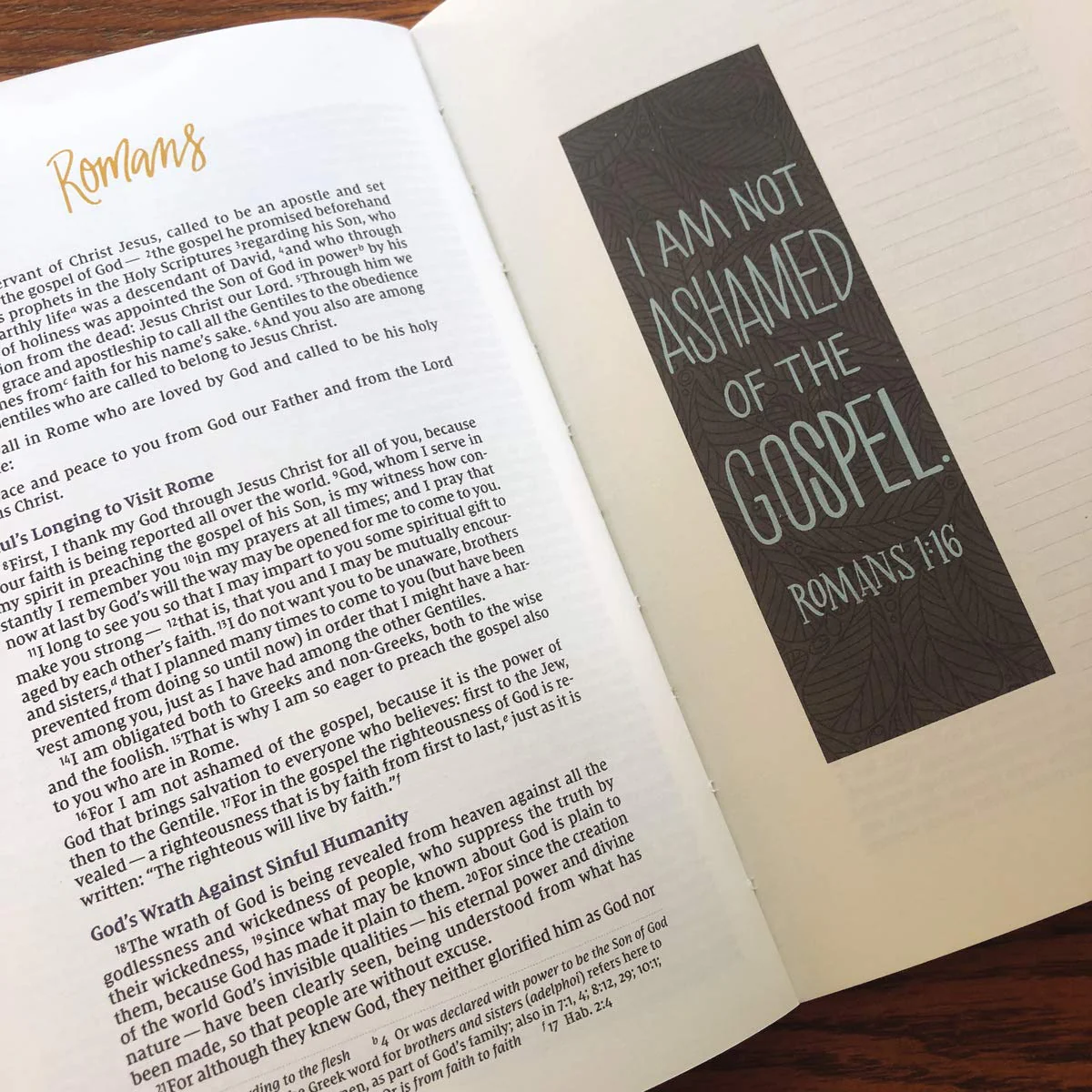 NIV, Beautiful Word Bible Journal, Romans, Comfort Print - Image 5