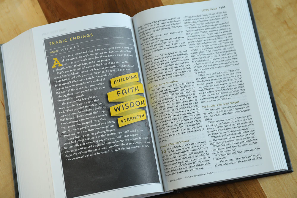 NIV, Bible for Teen Guys: Building Faith, Wisdom and Strength - Image 12