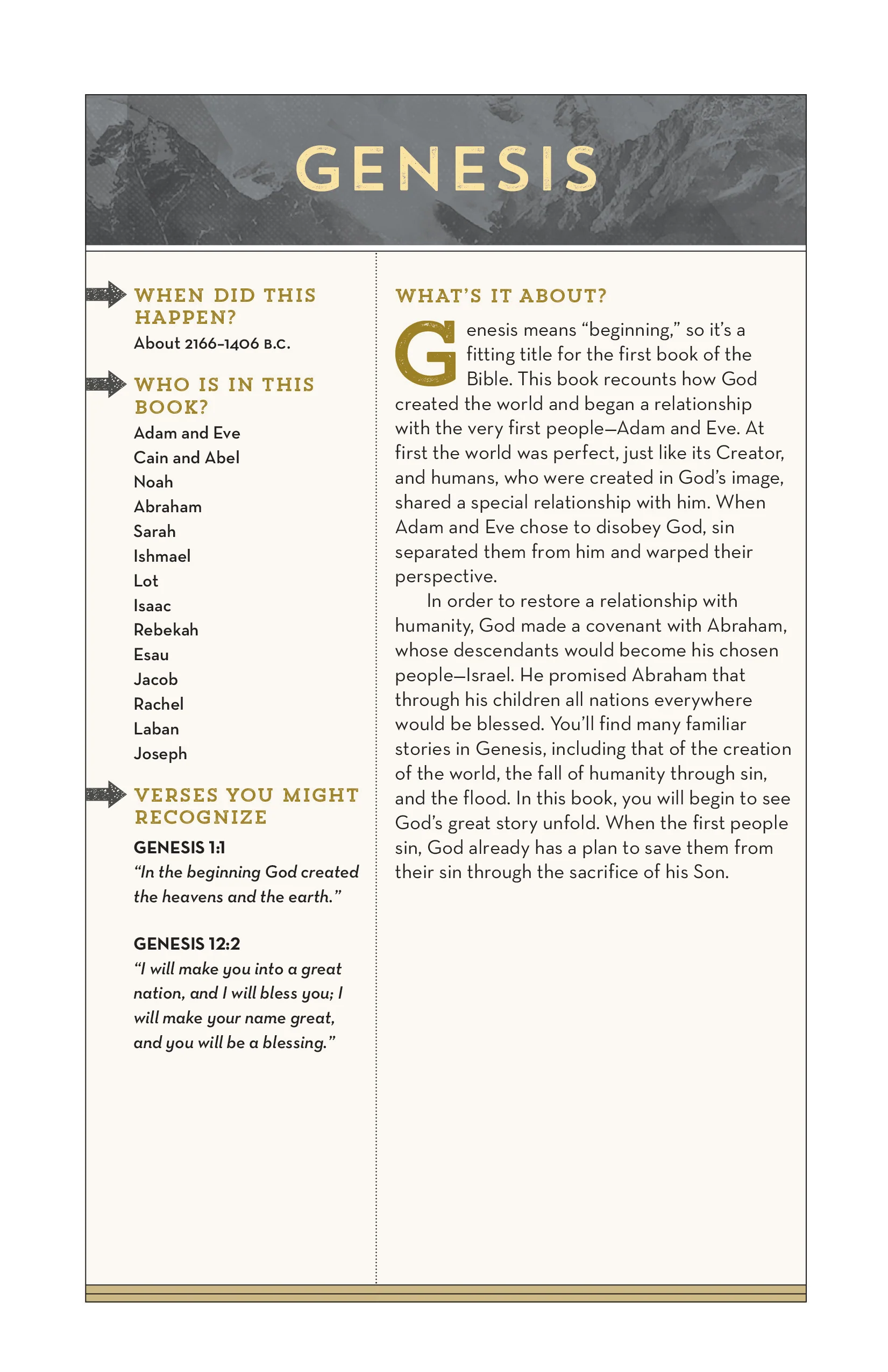 NIV, Bible for Teen Guys: Building Faith, Wisdom and Strength - Image 31