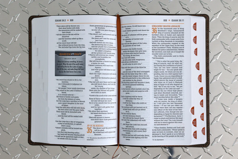 NIV, Boys' Bible, Comfort Print - Image 20