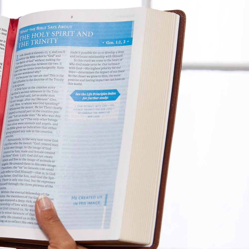 NIV, Charles F. Stanley Life Principles Bible, 2nd Edition, Comfort Print: Growing in Knowledge and Understanding of God Through His Word - Image 13