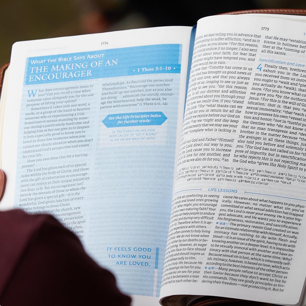NIV, Charles F. Stanley Life Principles Bible, 2nd Edition, Comfort Print: Growing in Knowledge and Understanding of God Through His Word - Image 16
