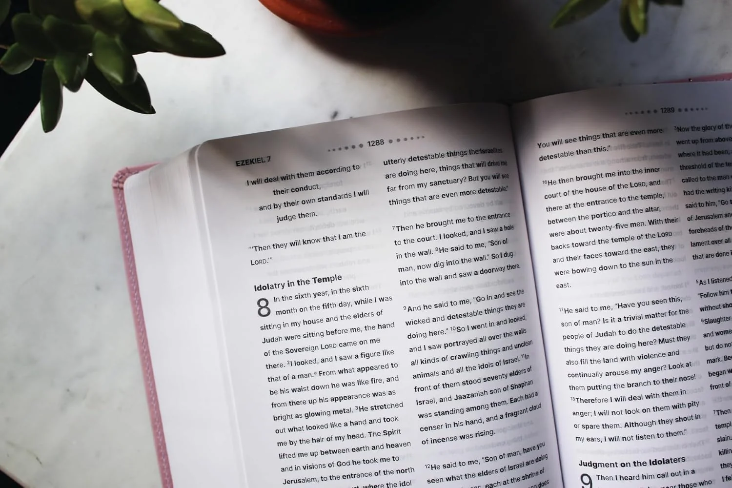 NIV, Clear Focus Bible: Read more of the Bible with better focus using the Bionic Reading® Method - Image 15