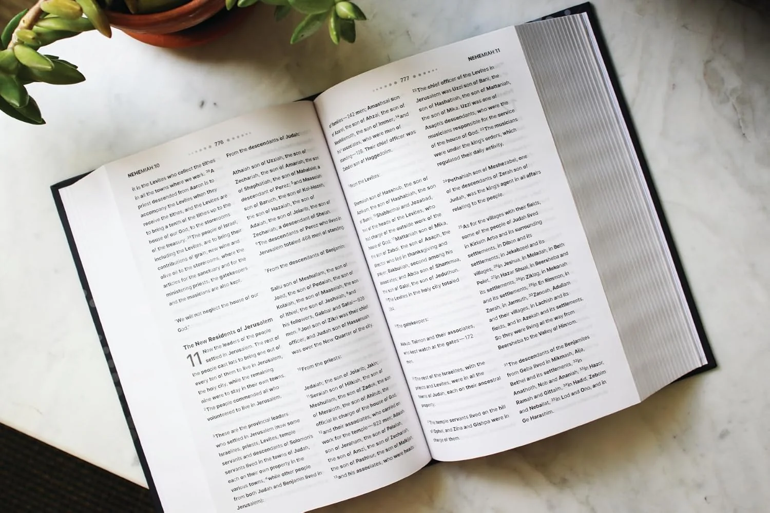NIV, Clear Focus Bible: Read more of the Bible with better focus using the Bionic Reading® Method - Image 6