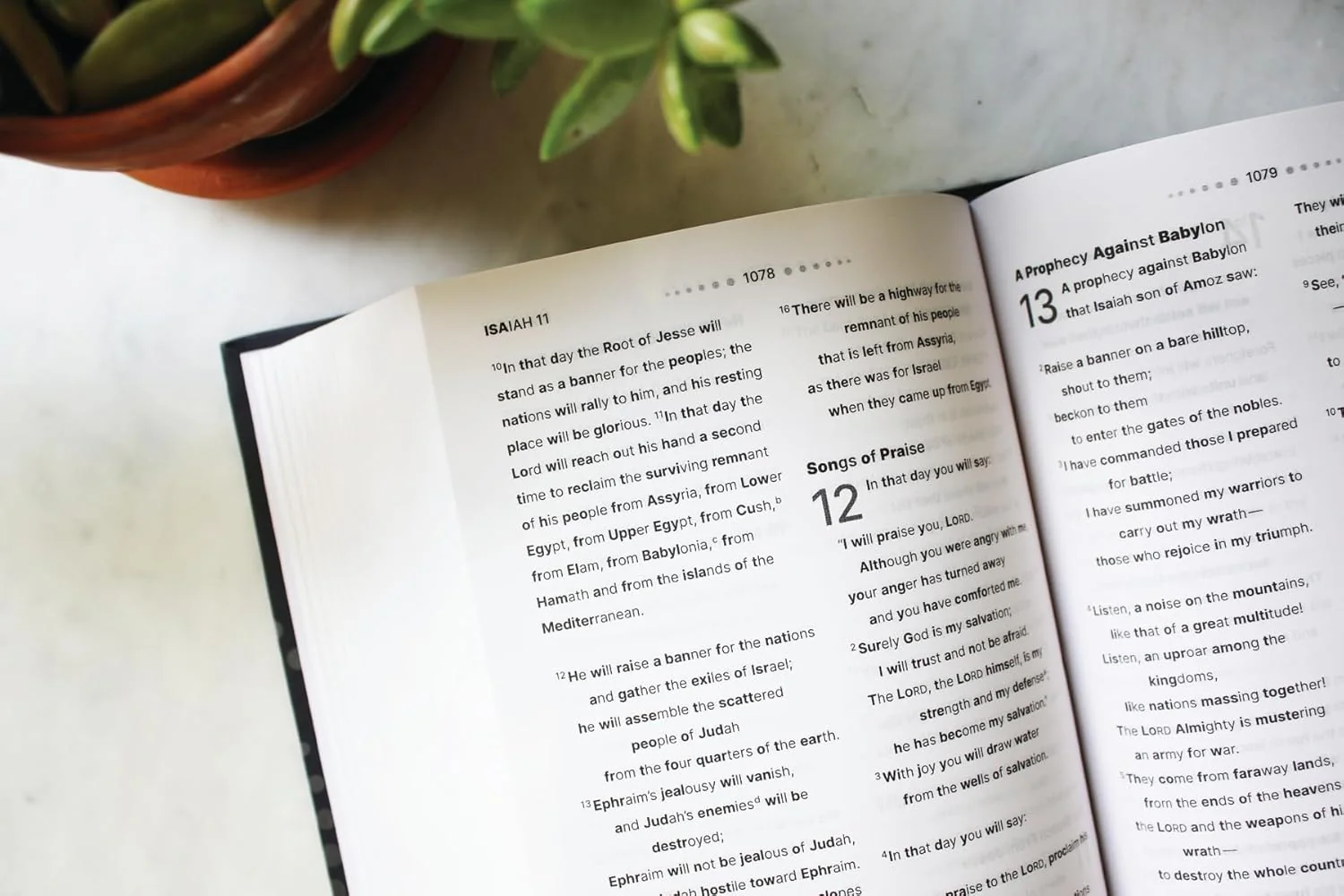NIV, Clear Focus Bible: Read more of the Bible with better focus using the Bionic Reading® Method - Image 7