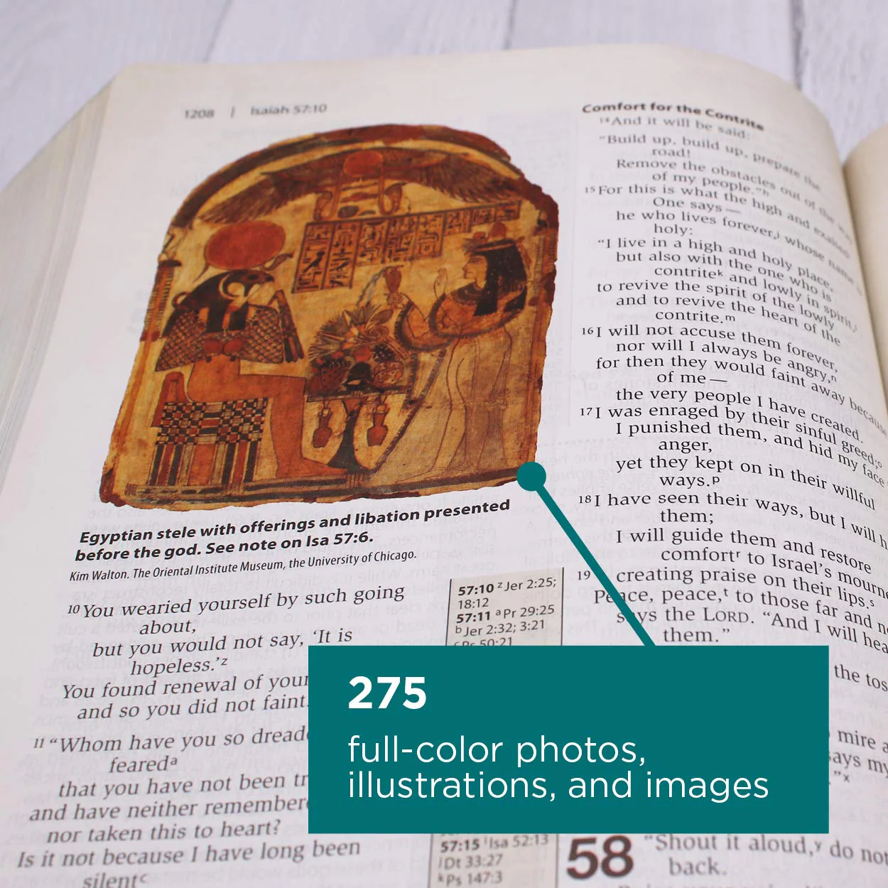 NIV, Cultural Backgrounds Study Bible, Red Letter Edition: Bringing to Life the Ancient World of Scripture - Image 7
