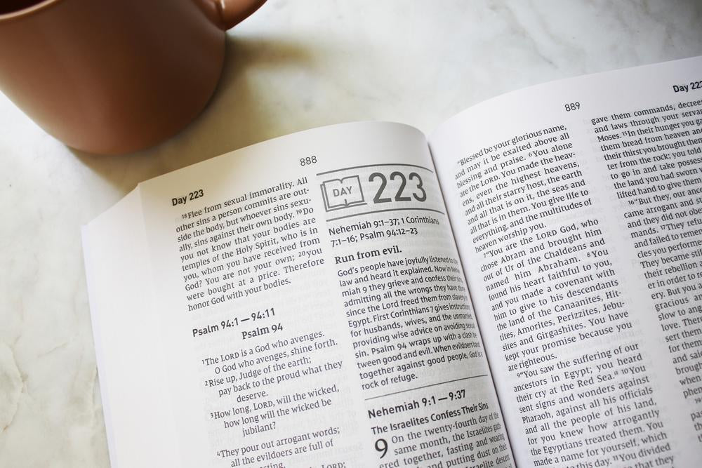 NIV, Daily Scripture, Paperback, White/Sage, Comfort Print: 365 Days to Read Through the Whole Bible in a Year - Image 10