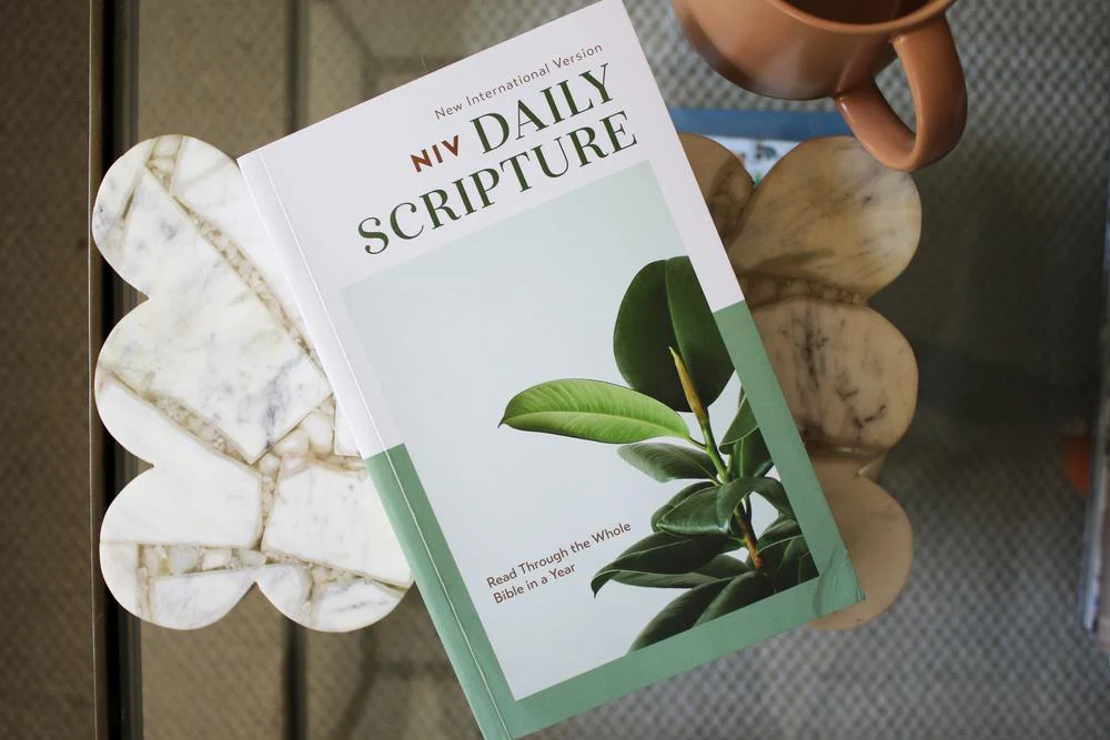NIV, Daily Scripture, Paperback, White/Sage, Comfort Print: 365 Days to Read Through the Whole Bible in a Year - Image 5