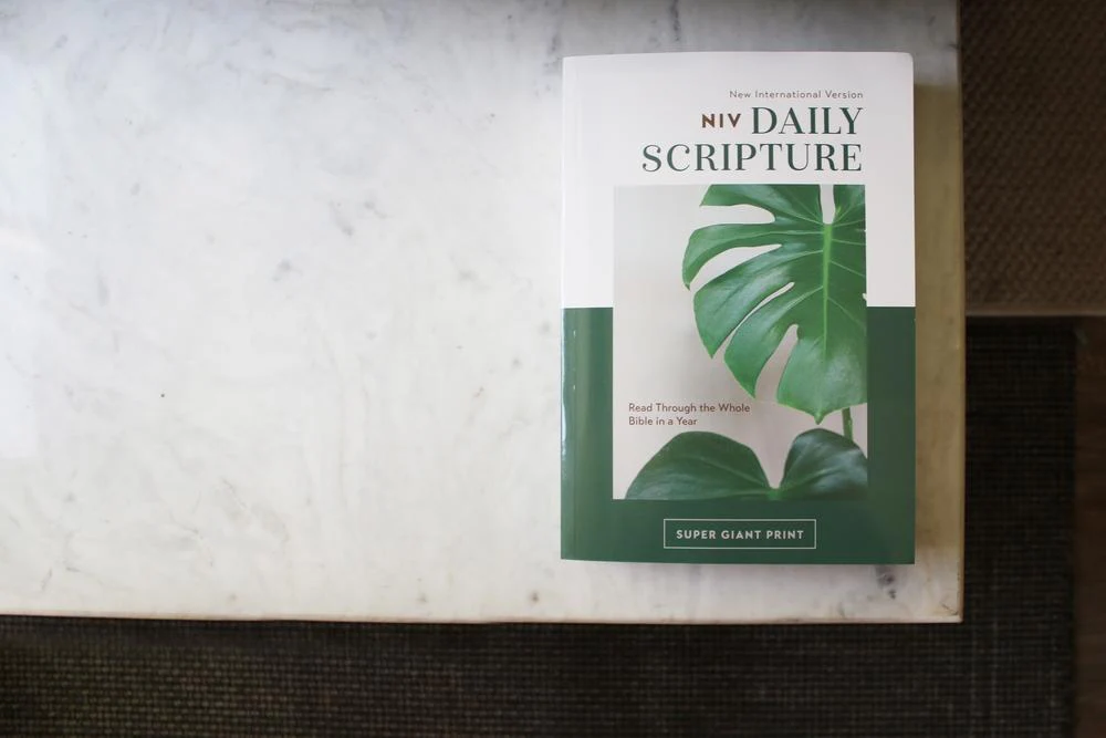 NIV, Daily Scripture, Super Giant Print, Paperback, White/Green, Comfort Print: 365 Days to Read Through the Whole Bible in a Year - Image 3