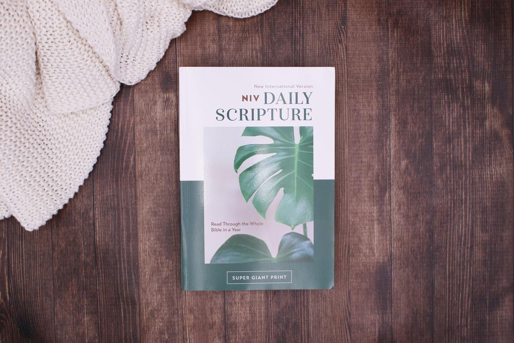 NIV, Daily Scripture, Super Giant Print, Paperback, White/Green, Comfort Print: 365 Days to Read Through the Whole Bible in a Year - Image 6