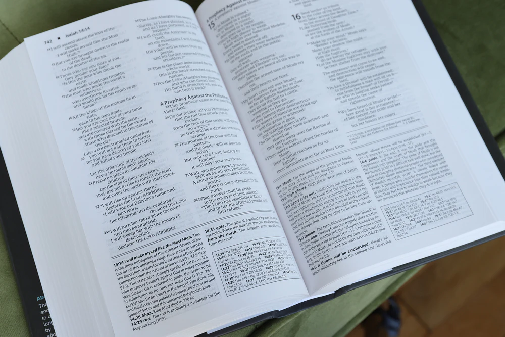 NIV, Foundation Study Bible, Red Letter Edition - Image 21