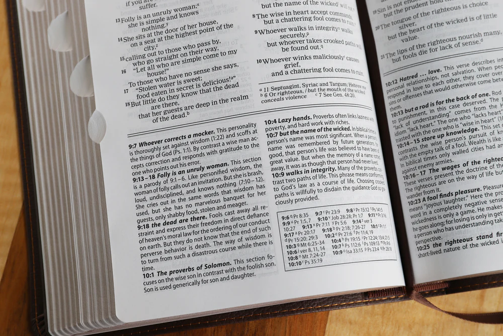 NIV, Foundation Study Bible, Red Letter Edition - Image 25