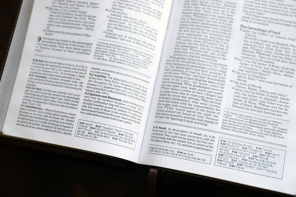 NIV, Foundation Study Bible, Red Letter Edition - Image 30