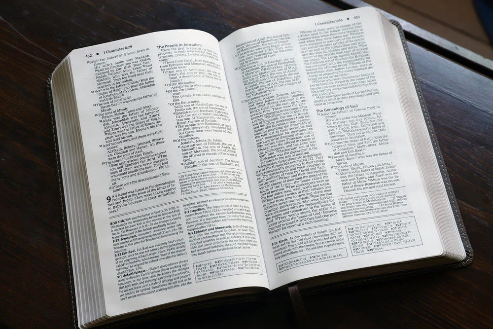 NIV, Foundation Study Bible, Red Letter Edition - Image 31