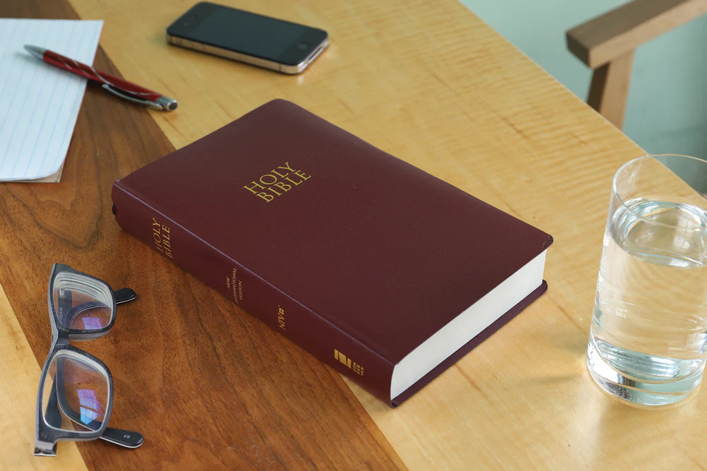 NIV, Gift and Award Bible, Leather-Look, Red Letter Edition, Comfort Print - Image 22